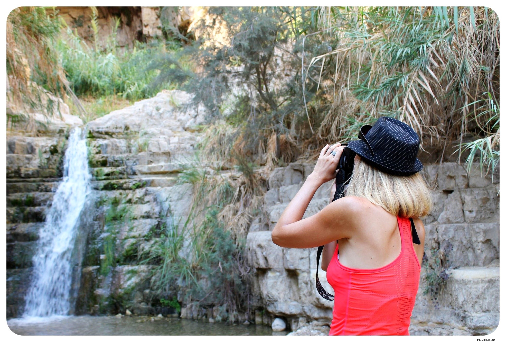 Top 5 Must-Visit Nature and Wildlife Areas in Israel