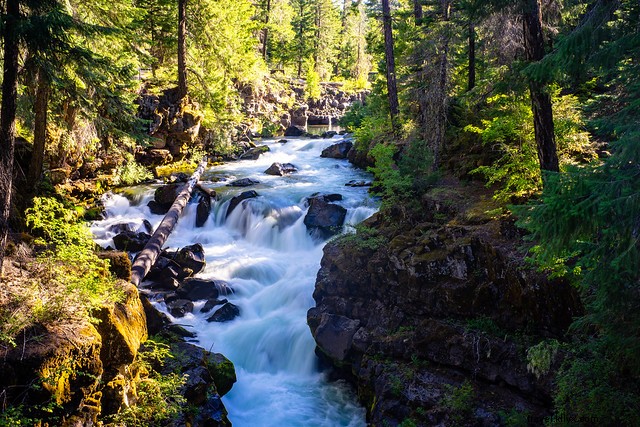 Top 5 Must-Visit Tourist Attractions in Oregon