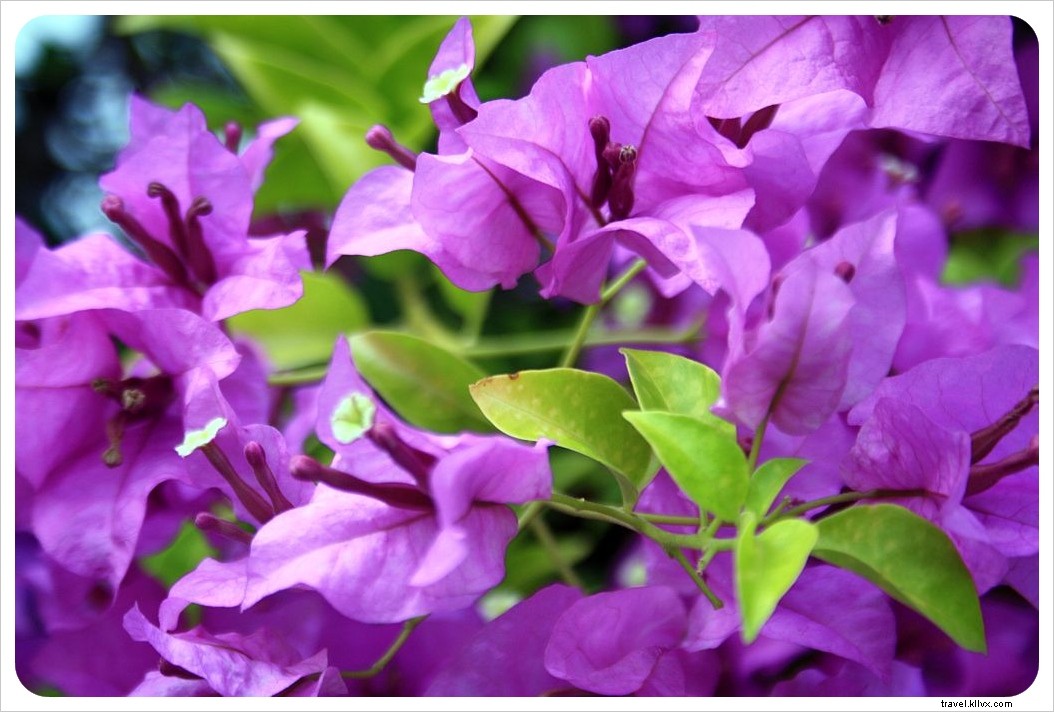 Top 6 Destination Wedding Ideas: Stunning Global Venues for Every Couple