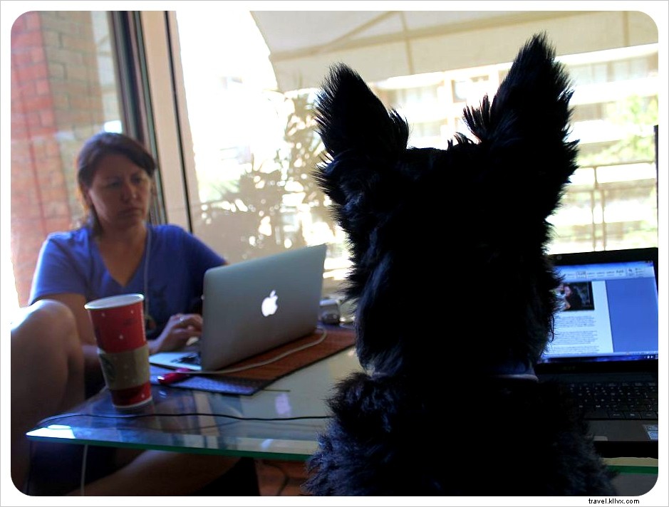 Break Free: The Ultimate Guide to Housesitting – Travel the World Almost for Free!