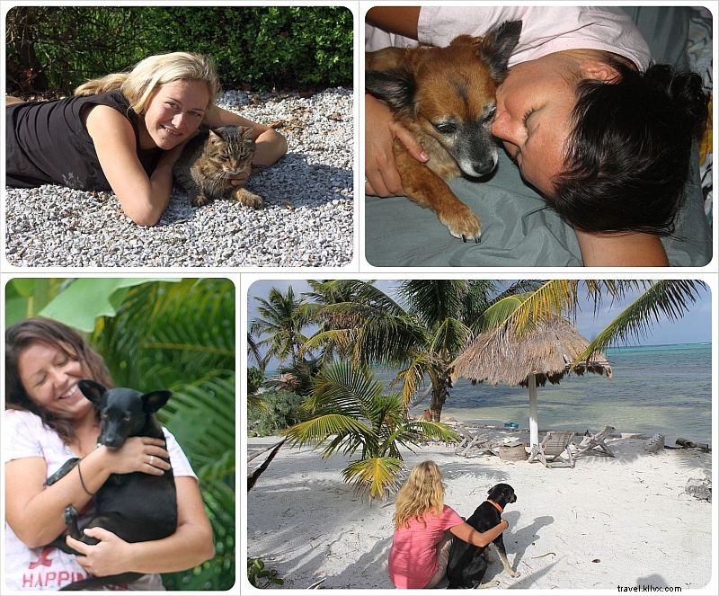 Break Free: The Ultimate Guide to Housesitting – Travel the World Almost for Free!