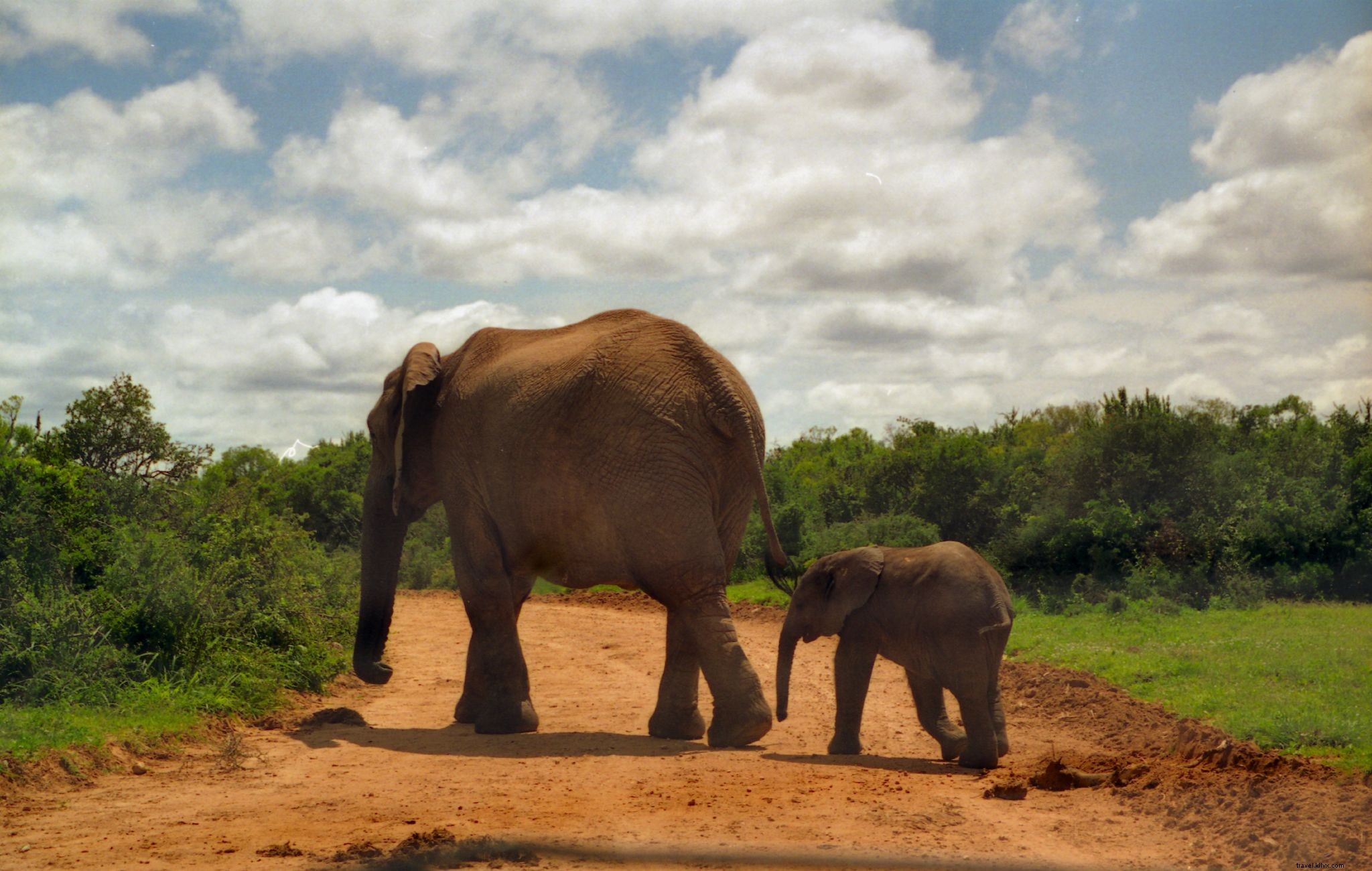 How to Travel South Africa on a Budget: Proven Tips from Experts