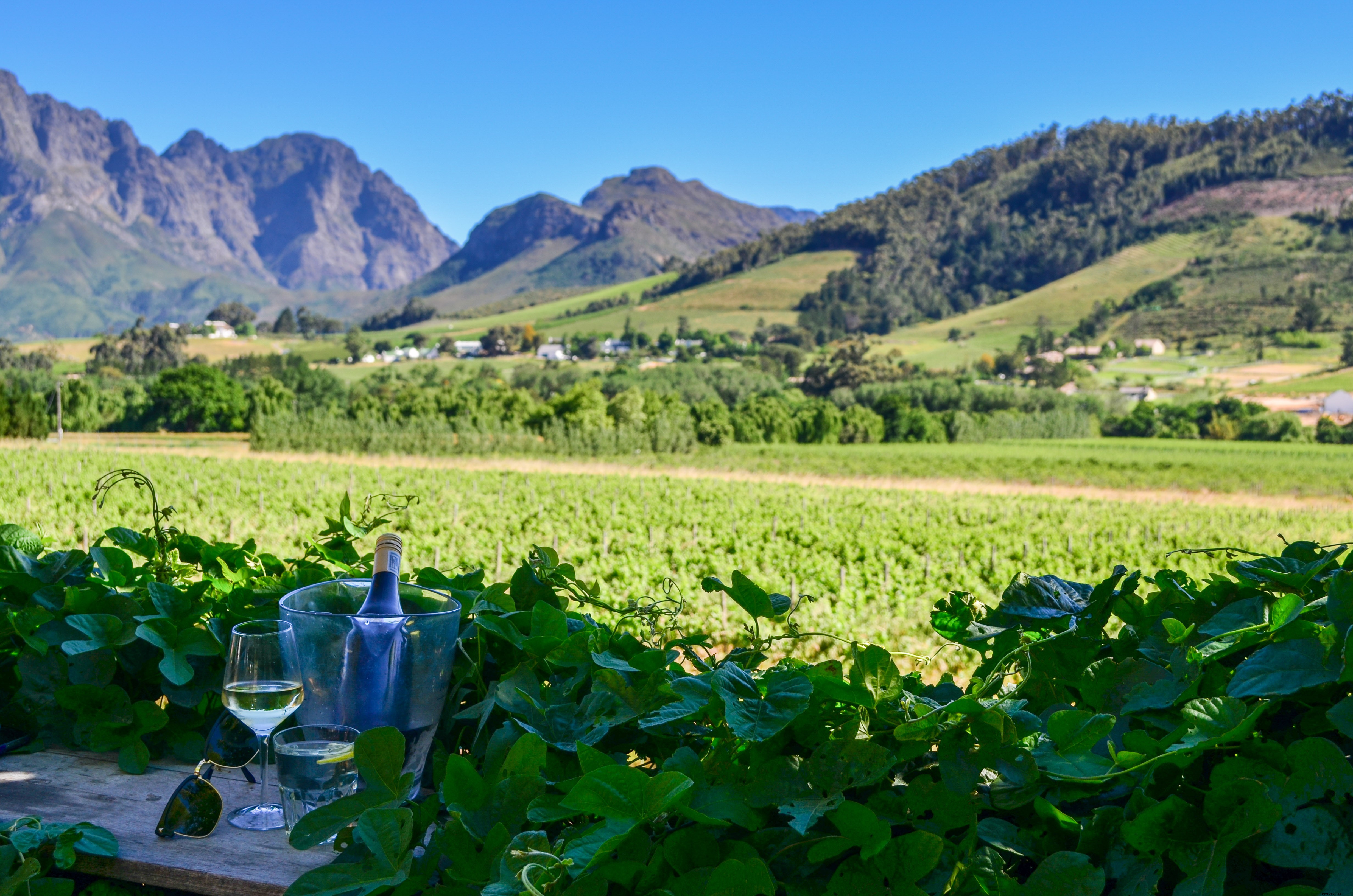 How to Travel South Africa on a Budget: Proven Tips from Experts