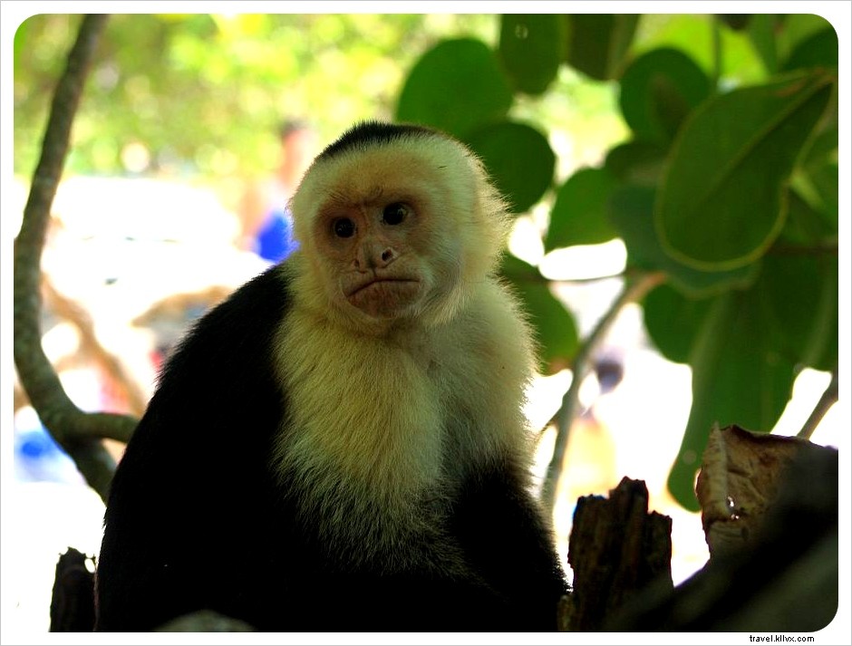 Central America Travel Budget: Real Costs from 6 Months Backpacking All 7 Countries