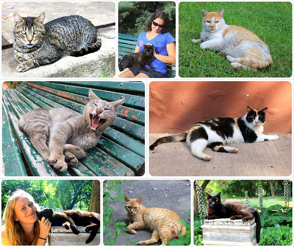 33 Captivating Reasons to Fall in Love with Buenos Aires