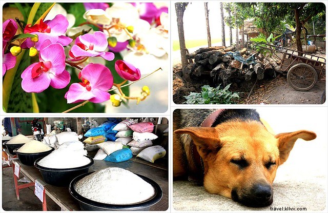 Discover Authentic Rural Thailand: SpiceRoads Cycling Tour in Chiang Mai s Lanna Countryside