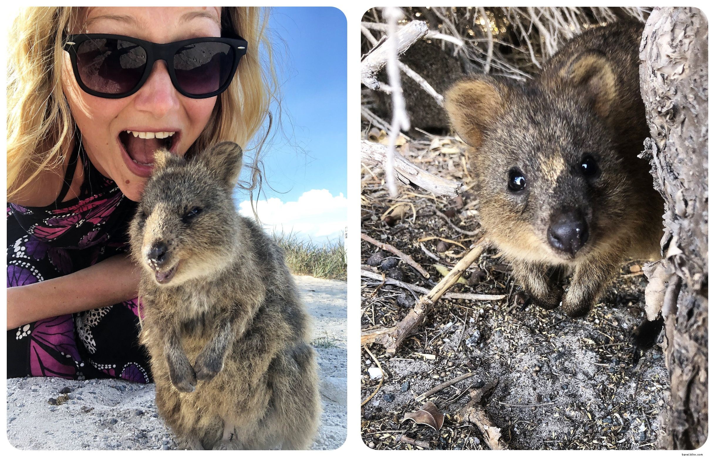 Why Visit Perth: Top 5 Reasons to Explore Australia s Most Isolated City