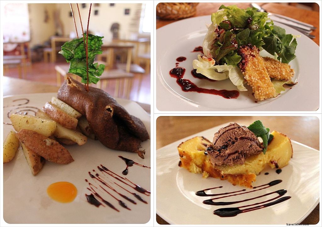 Chile Travel Costs: Real Budget Breakdown & Shoestring Tips from 3.5 Months Exploring