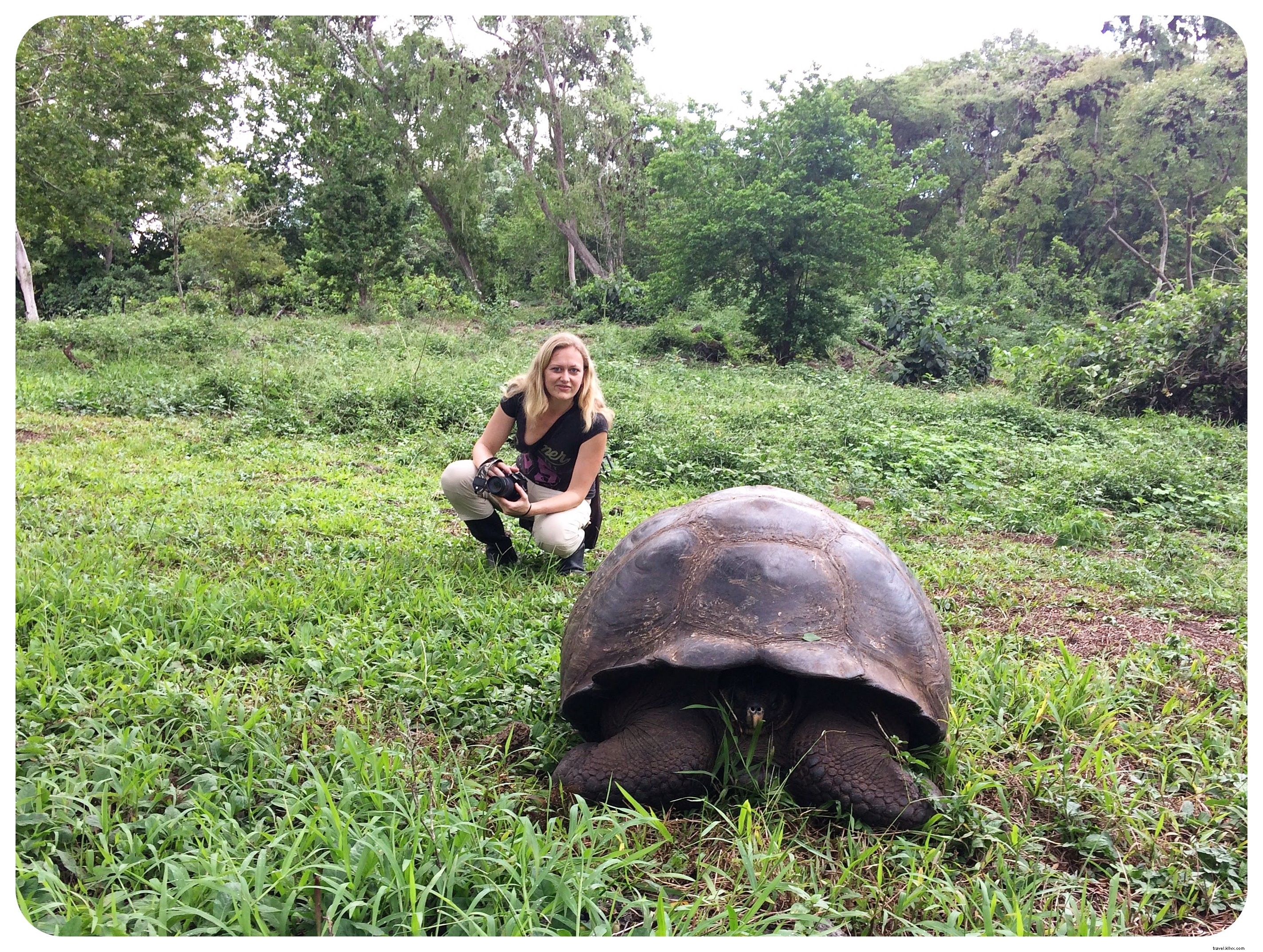 15 Essential Things to Know Before Visiting the Galápagos Islands