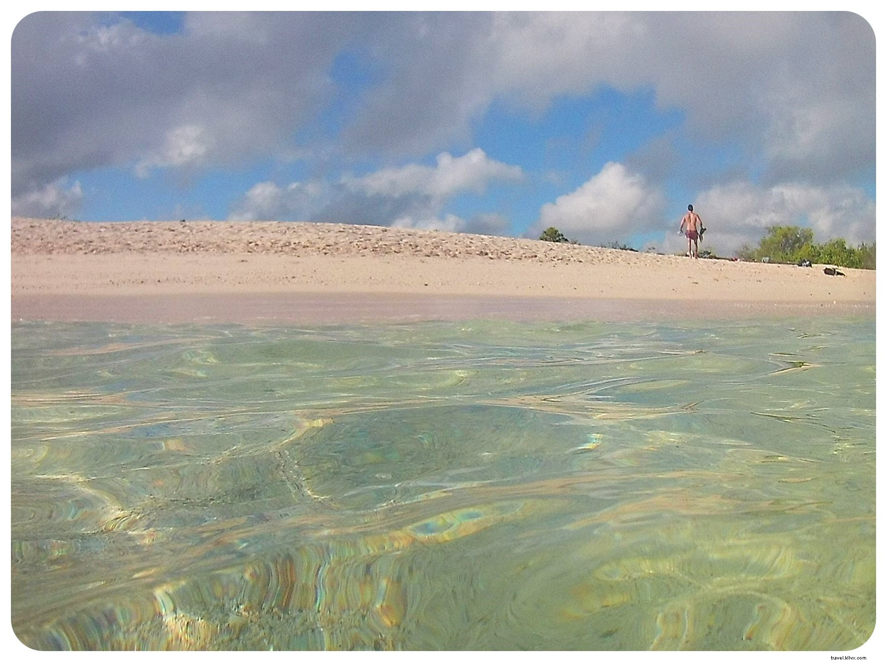 15 Essential Things to Know Before Visiting the Galápagos Islands