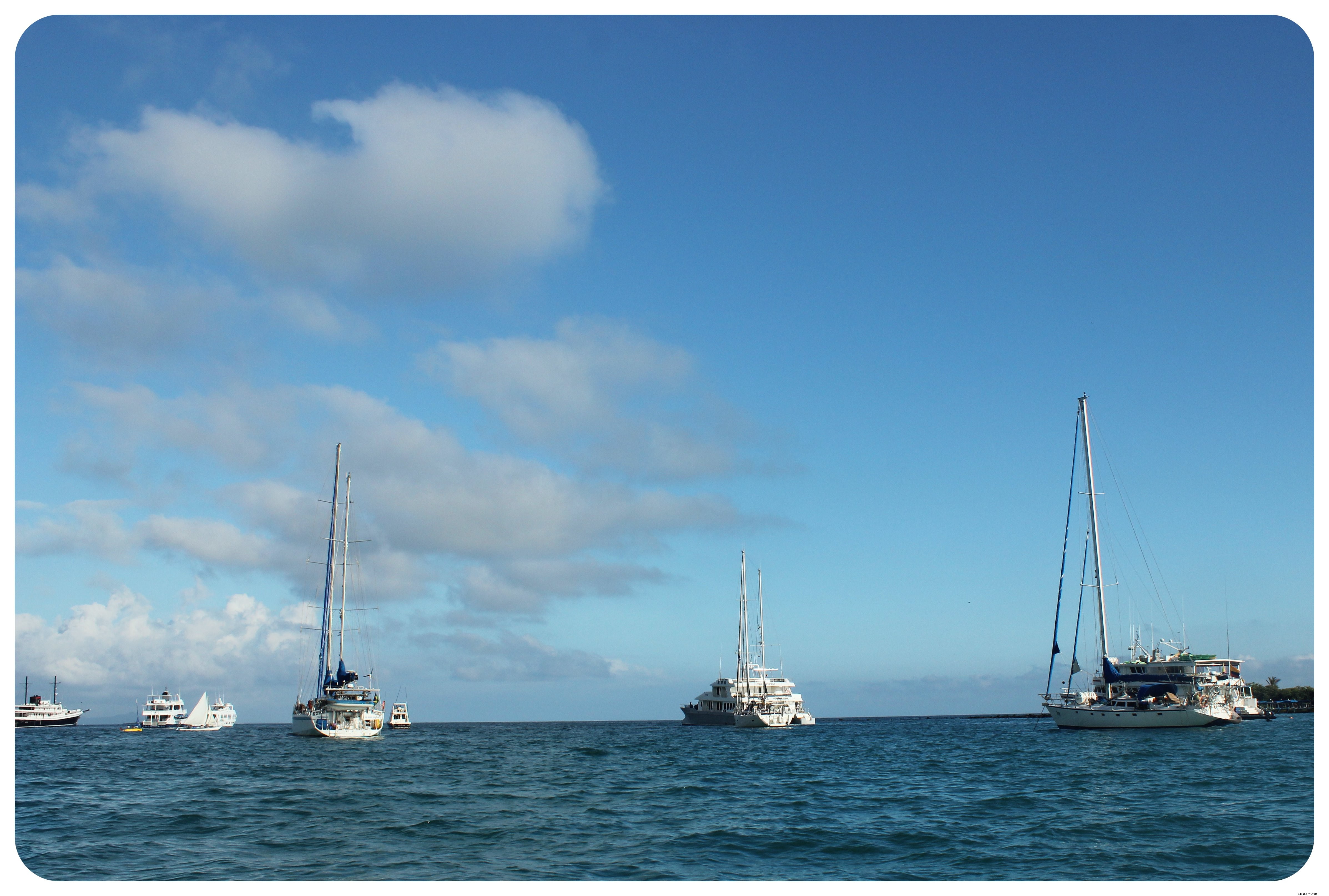 15 Essential Things to Know Before Visiting the Galápagos Islands