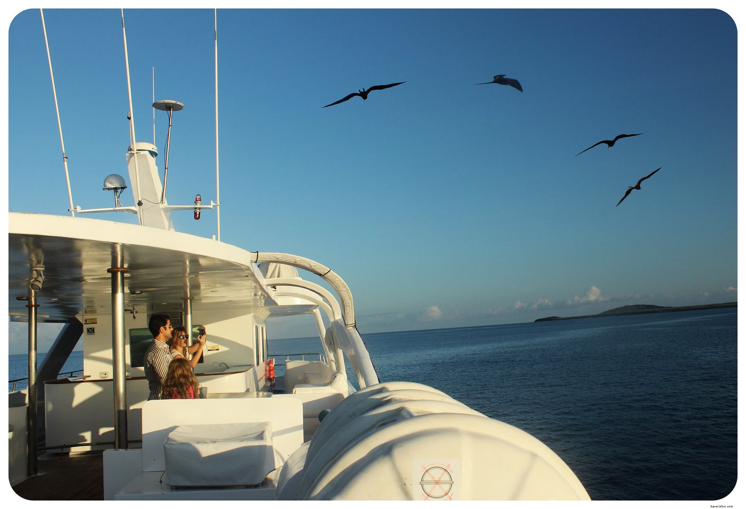 15 Essential Things to Know Before Visiting the Galápagos Islands