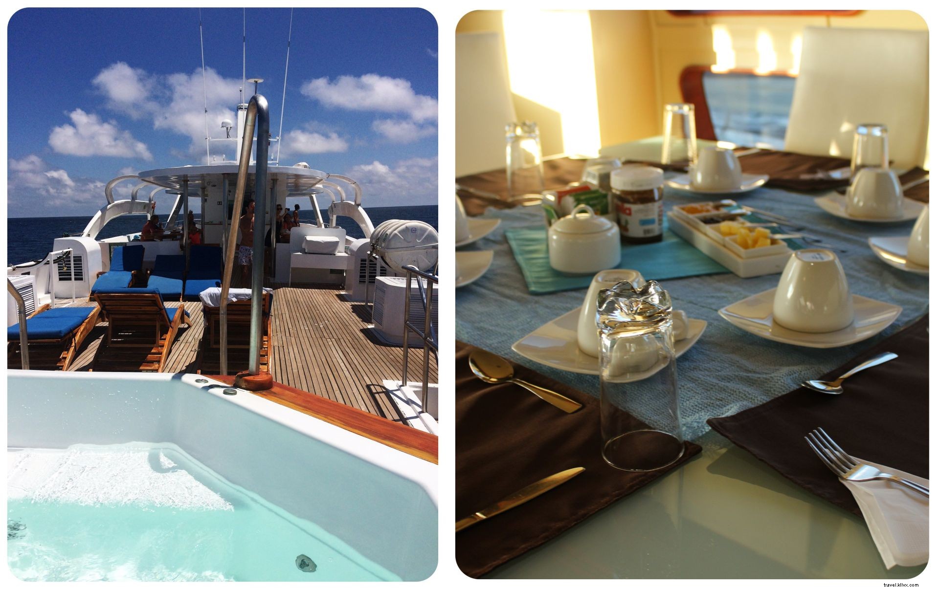 15 Essential Things to Know Before Visiting the Galápagos Islands