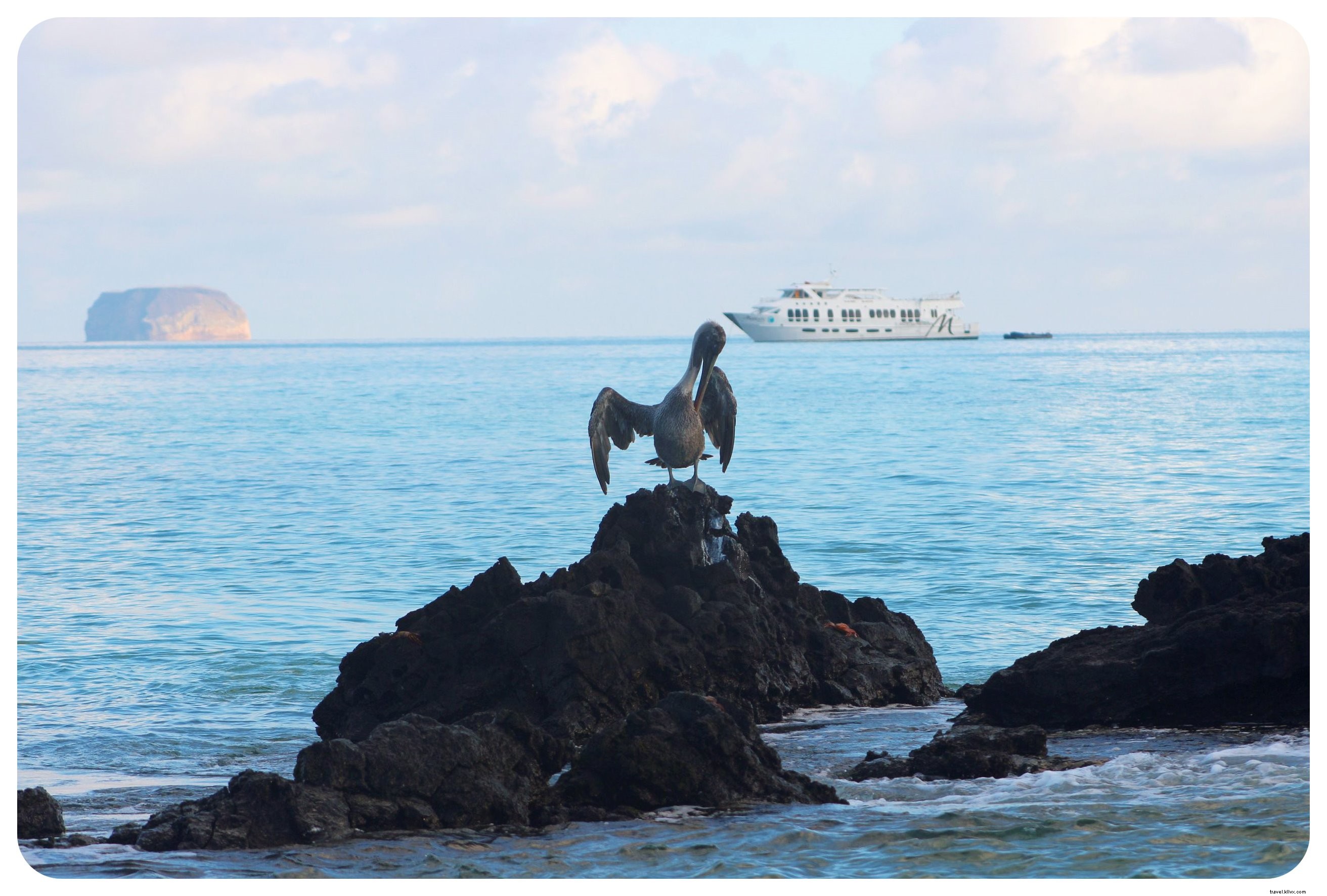 15 Essential Things to Know Before Visiting the Galápagos Islands