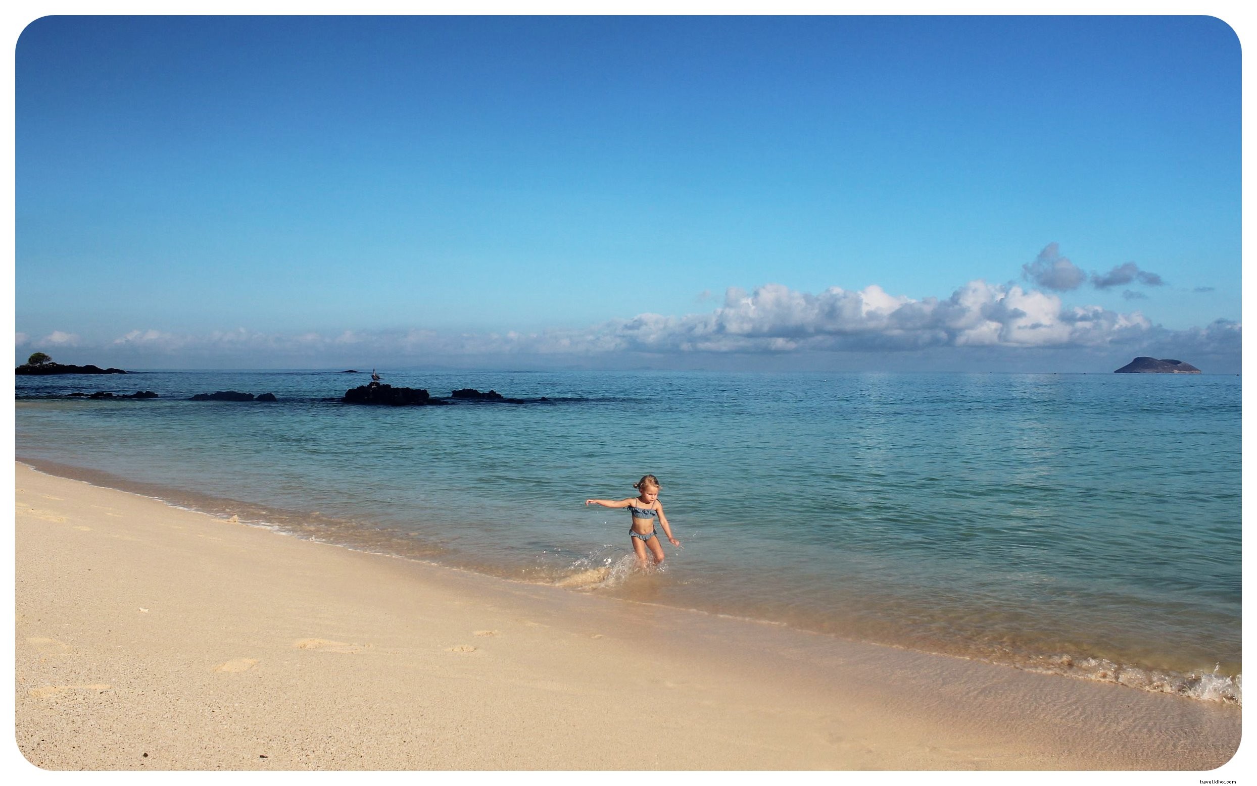 15 Essential Things to Know Before Visiting the Galápagos Islands