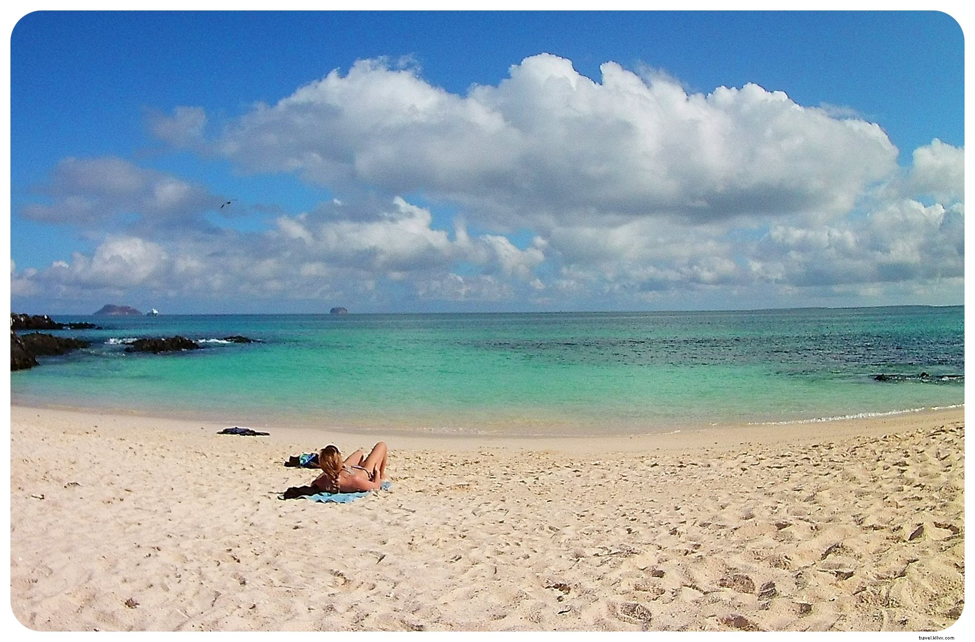 15 Essential Things to Know Before Visiting the Galápagos Islands