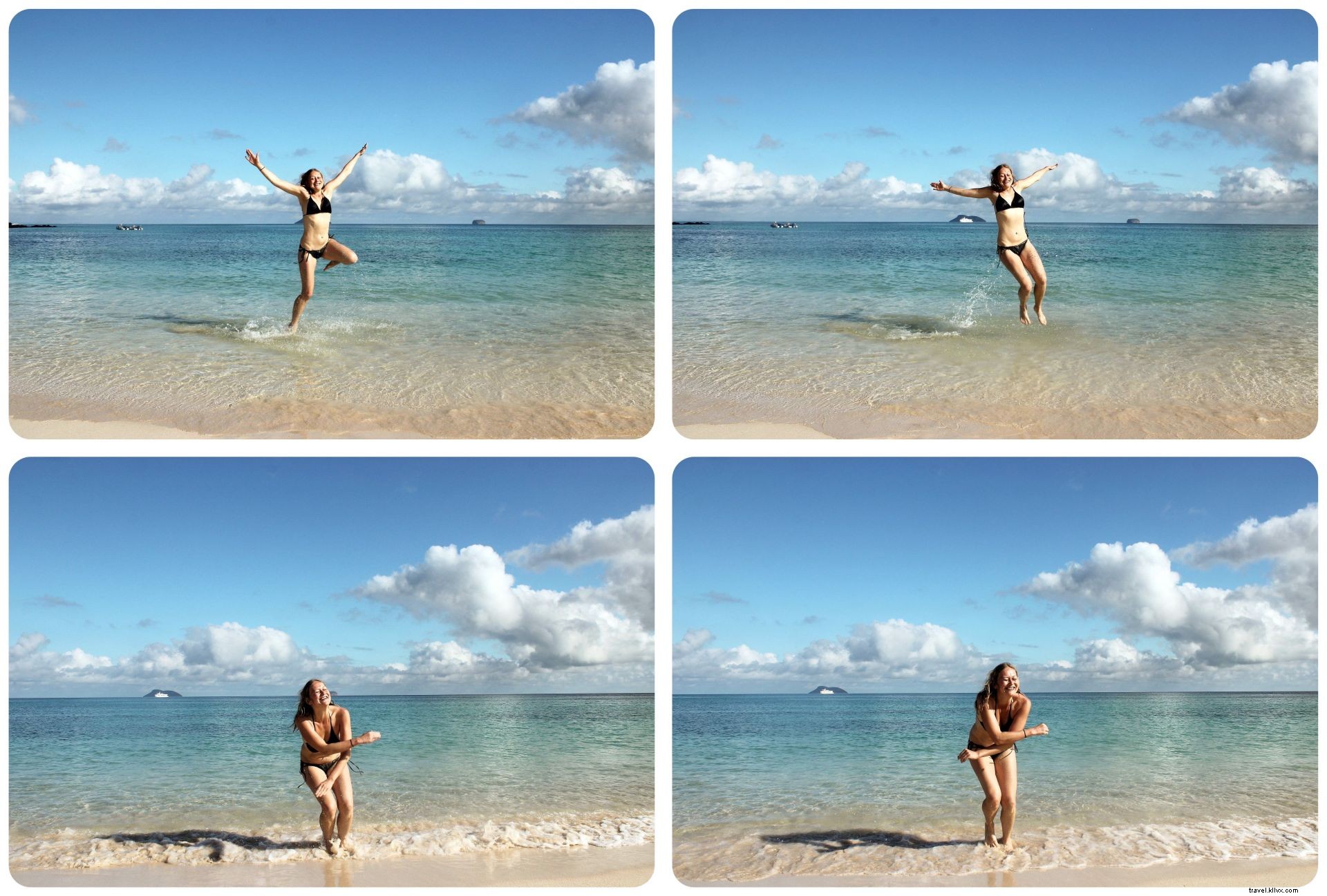 15 Essential Things to Know Before Visiting the Galápagos Islands