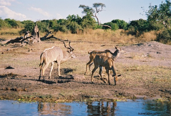 Ultimate Bucket List Destinations: 10 Unforgettable Once-in-a-Lifetime Travel Experiences