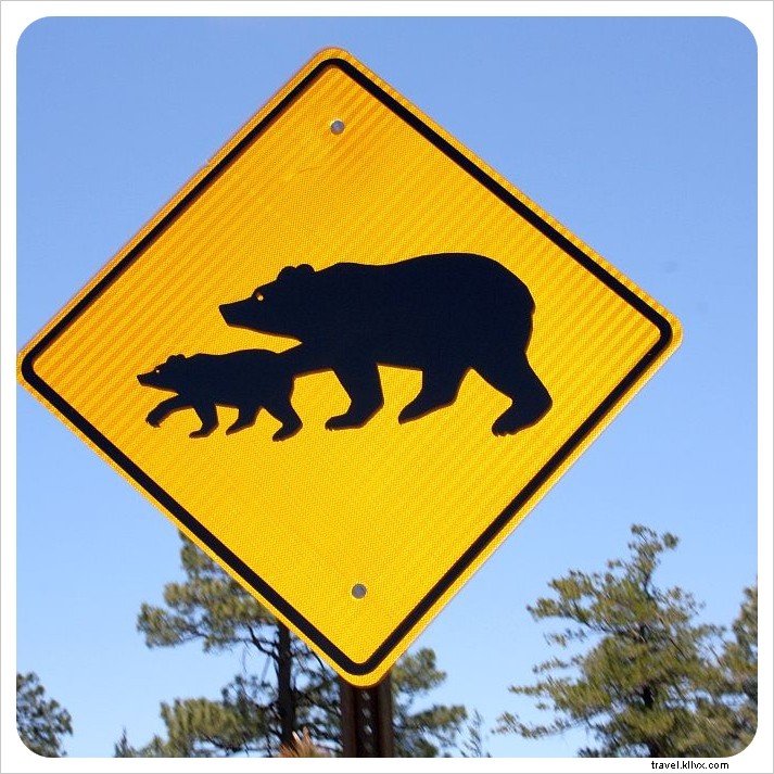 10 Must-Have Essentials for a Successful Day Hike: Expert Packing Checklist