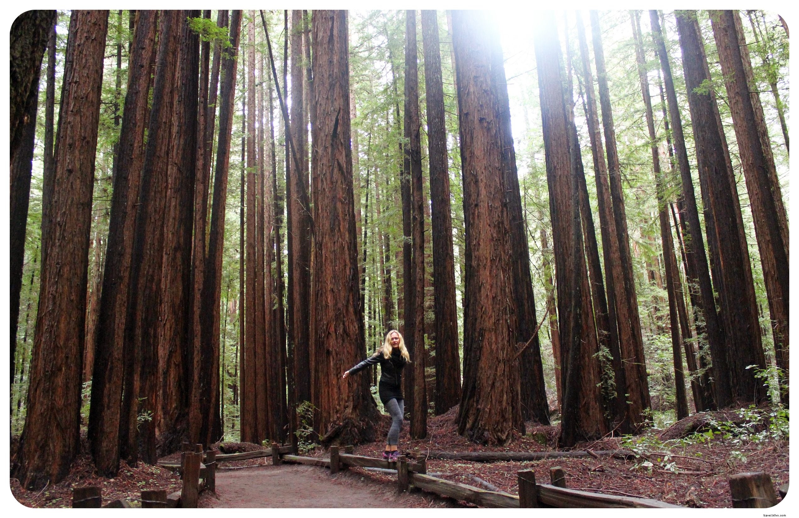 10 Must-Have Essentials for a Successful Day Hike: Expert Packing Checklist