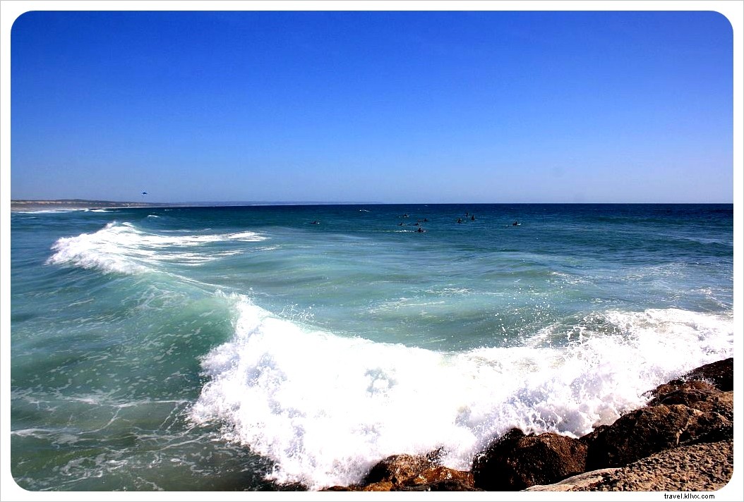 Ultimate Guide to Surfing in South Africa: Top Spots, Best Times & Essential Tips