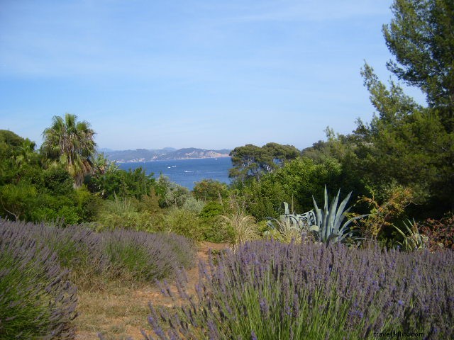 Discover France s Most Scenic Train Routes: Our Top 5 Journeys