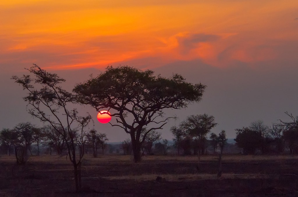 Discover the Magic of Sabora Tented Safari Camp in Tanzania s Serengeti