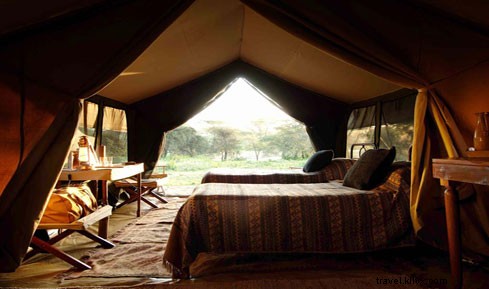 Discover the Magic of Sabora Tented Safari Camp in Tanzania s Serengeti