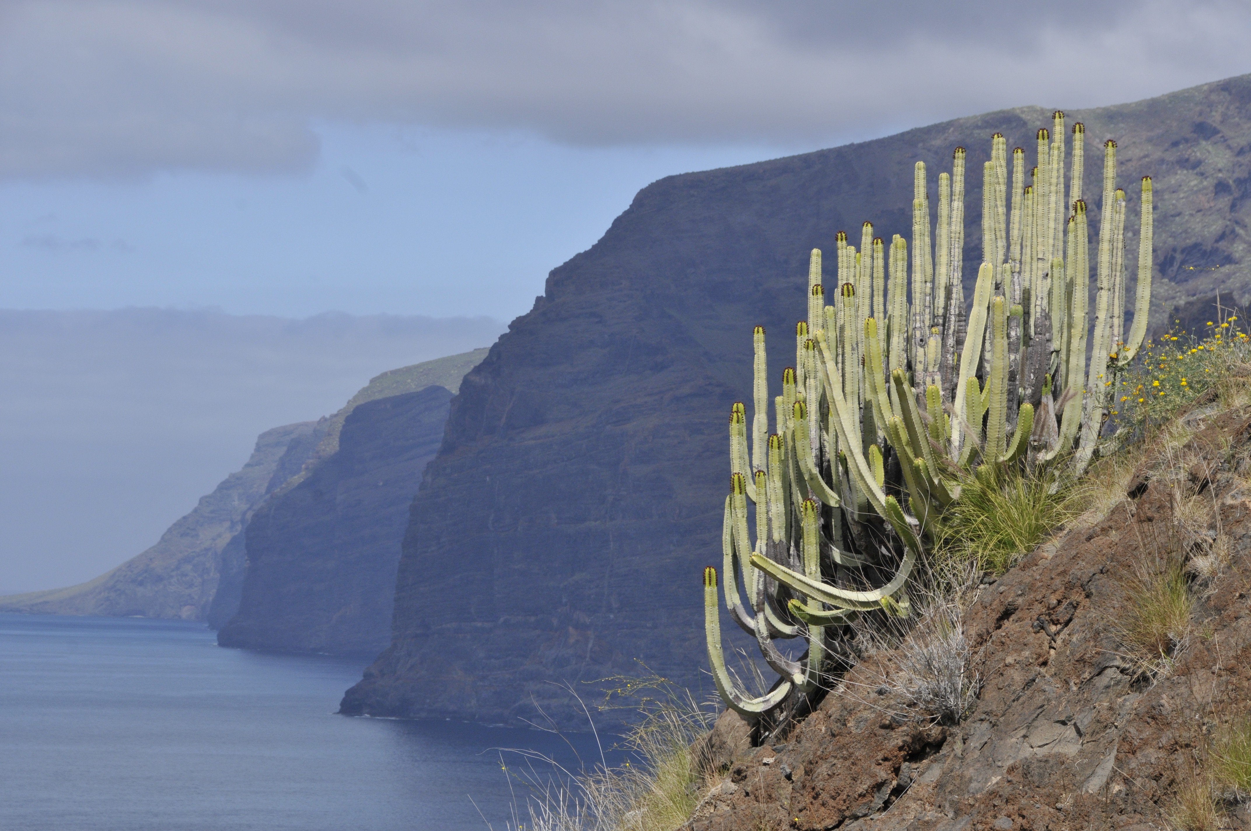 Discover the Seven Canary Islands: Premier Year-Round Holiday Destinations