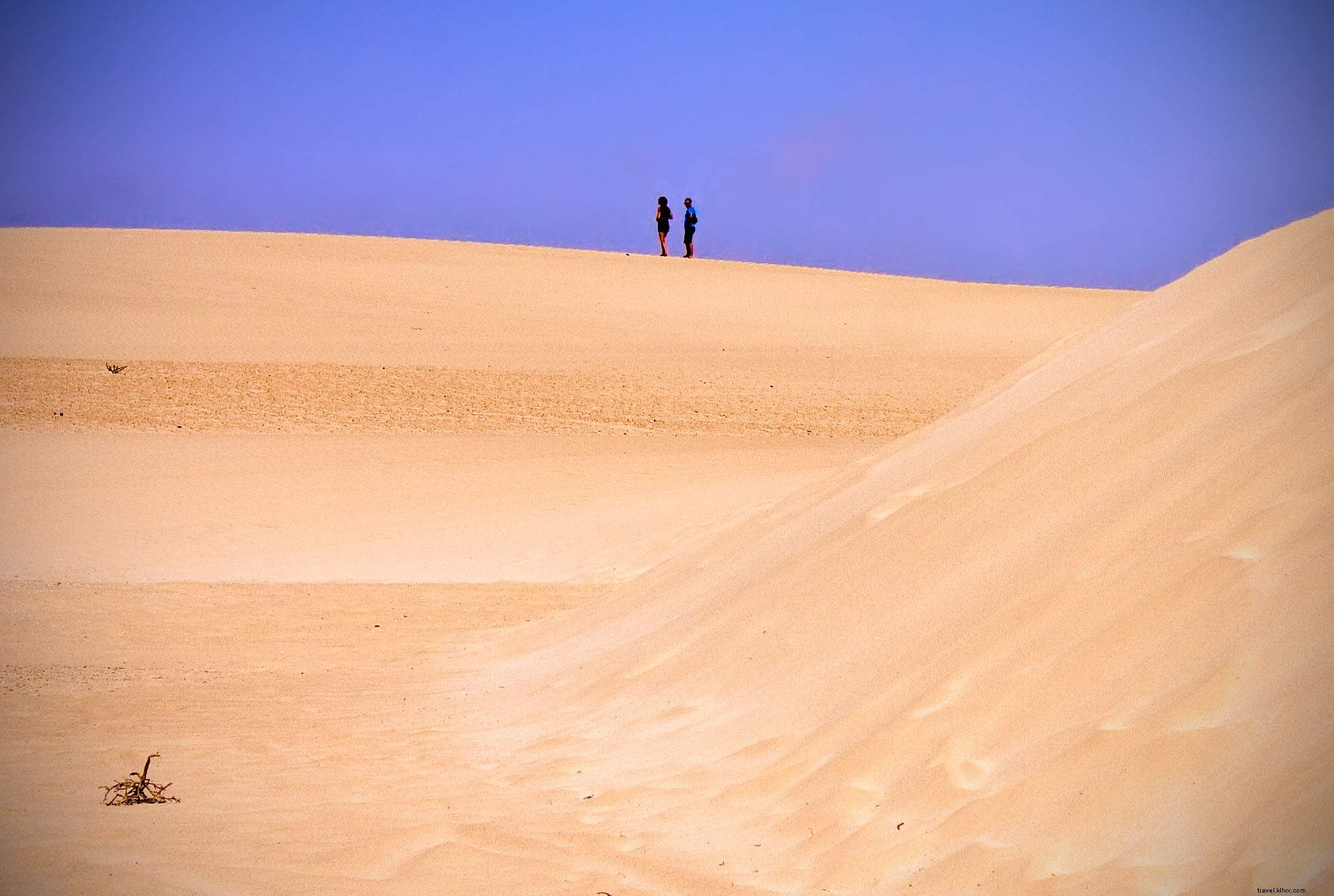 Discover the Seven Canary Islands: Premier Year-Round Holiday Destinations