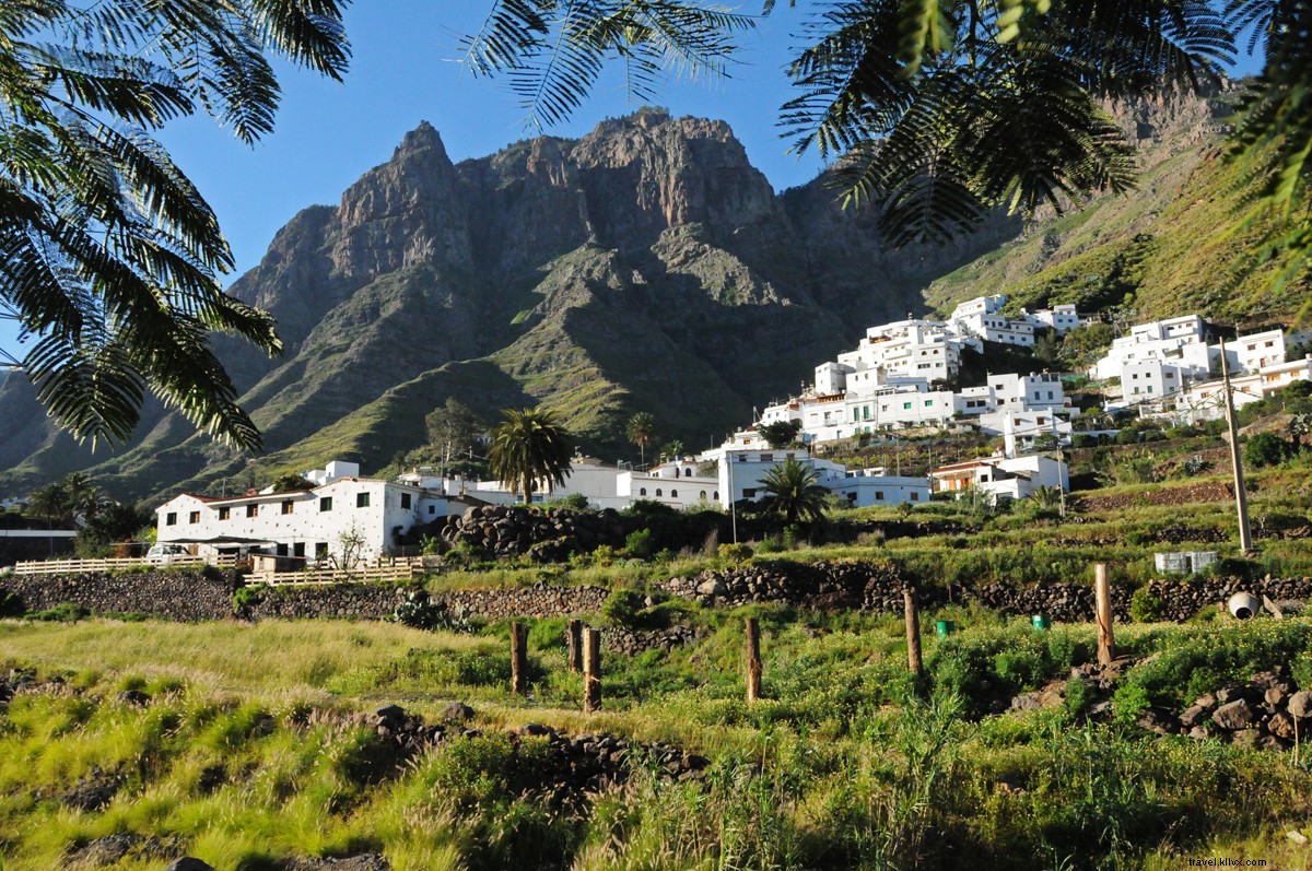 Discover the Seven Canary Islands: Premier Year-Round Holiday Destinations