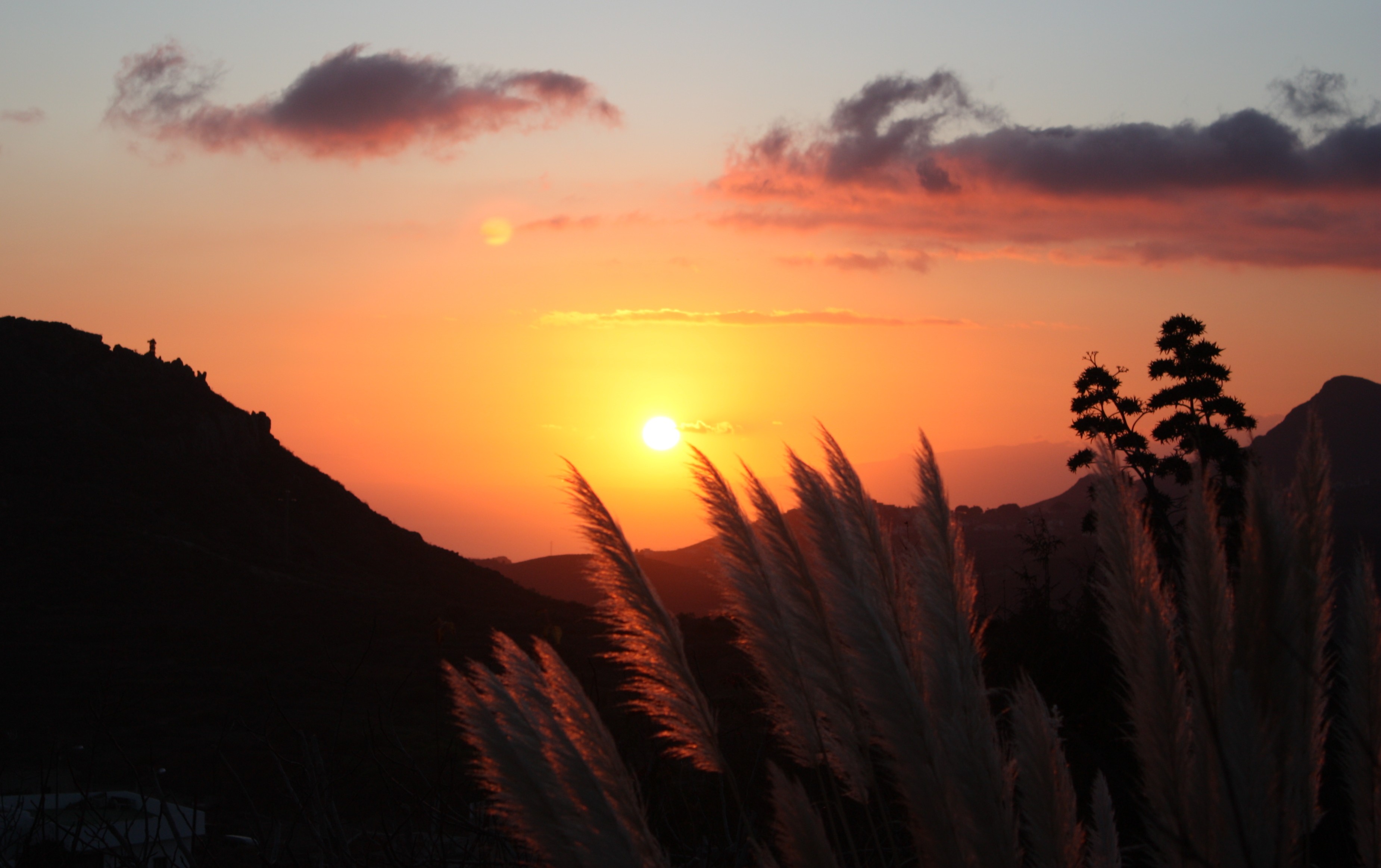 Discover the Seven Canary Islands: Premier Year-Round Holiday Destinations