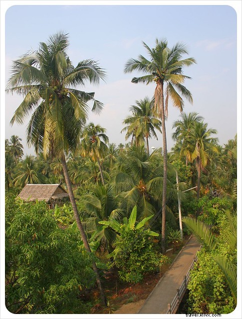 Bang Namphueng, Bangkok: Falling in Love with the City s Hidden Green Lung on Our Second Visit