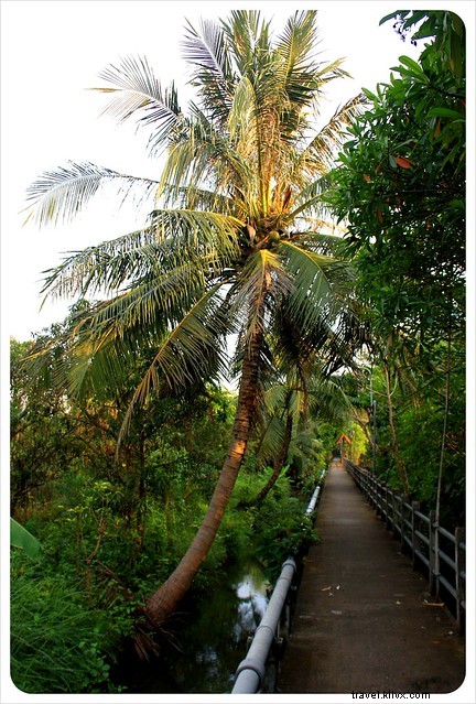 Bang Namphueng, Bangkok: Falling in Love with the City s Hidden Green Lung on Our Second Visit