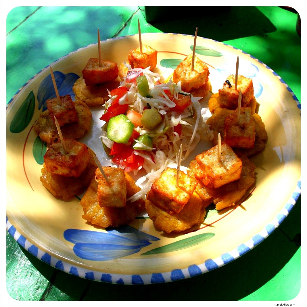 Vegetarian Food Guide: Must-Try Dishes from Our Central America Journey