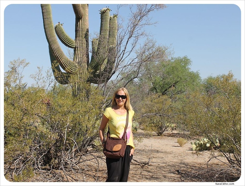 Donner Daypack Review: Overland Equipment s Ideal Travel Backpack