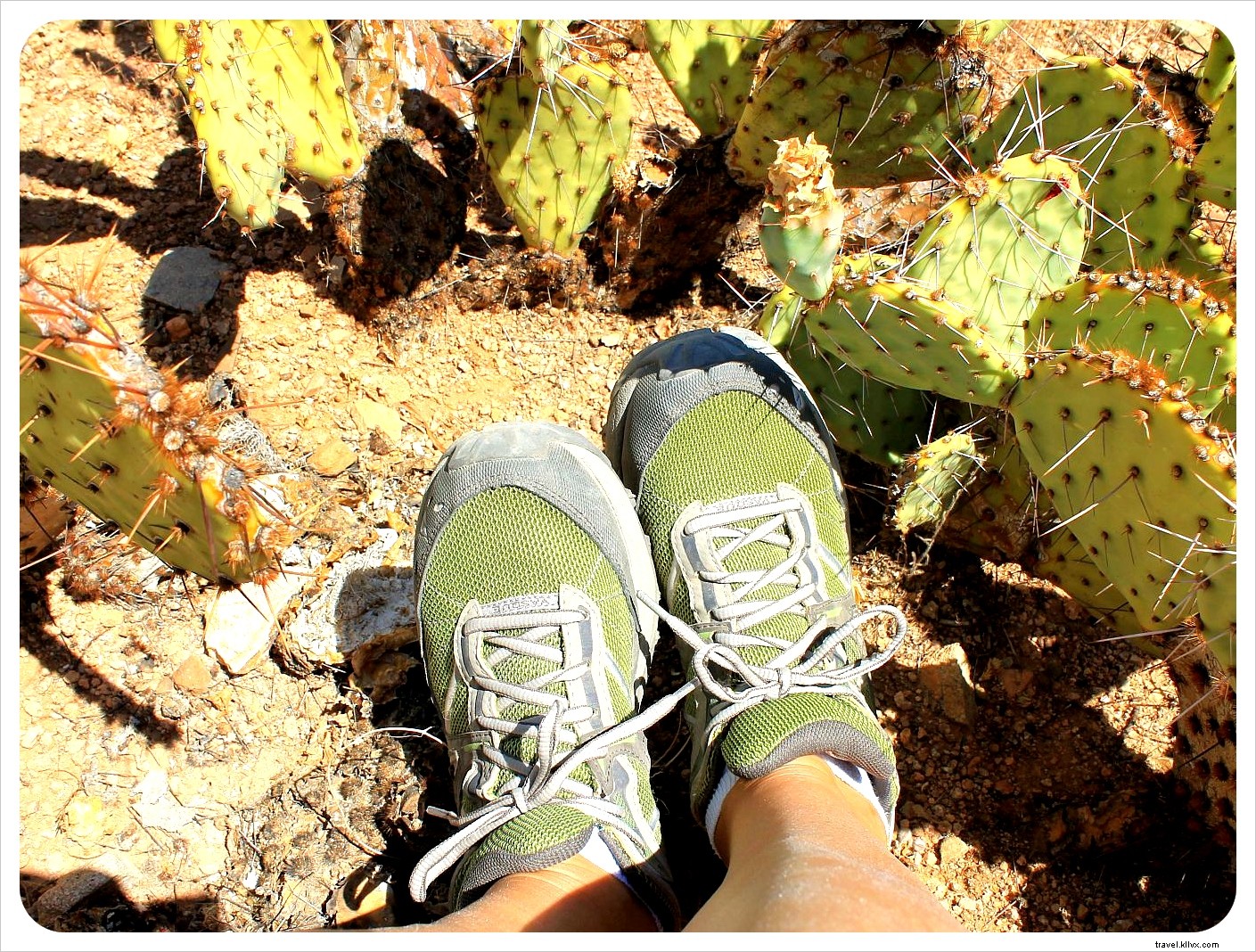 Vasque Mindbender Trail Running Shoes Review: Versatile for Hiking, Trails, and Travel