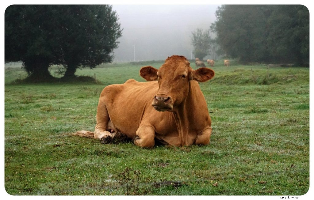 Top 5 Best Long-Distance Hikes in England: Epic Trails for Every Adventurer