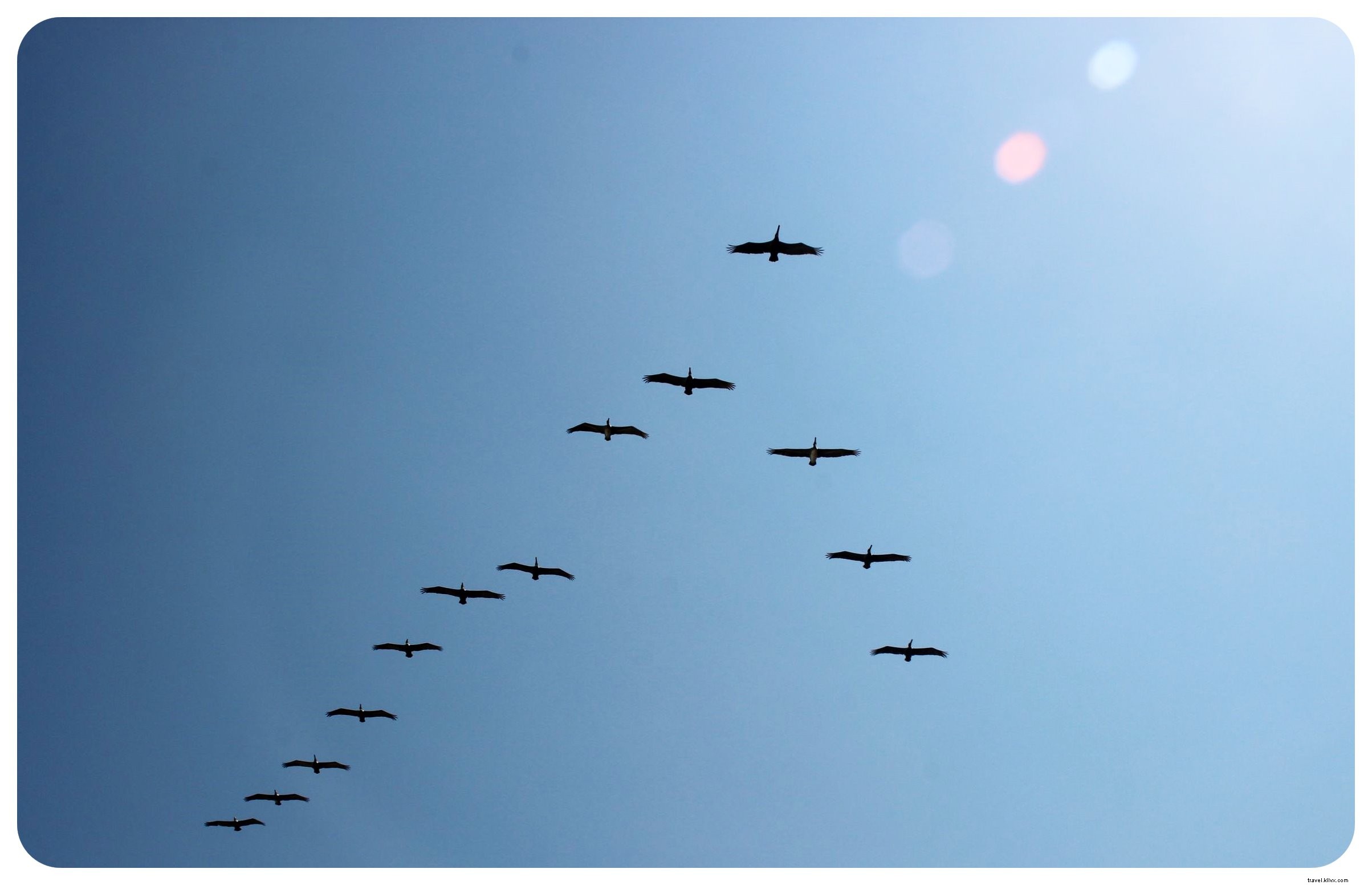 Palomino, Colombia: Pristine Caribbean Beaches, River Tubing Thrills, and a Close Call with Theft