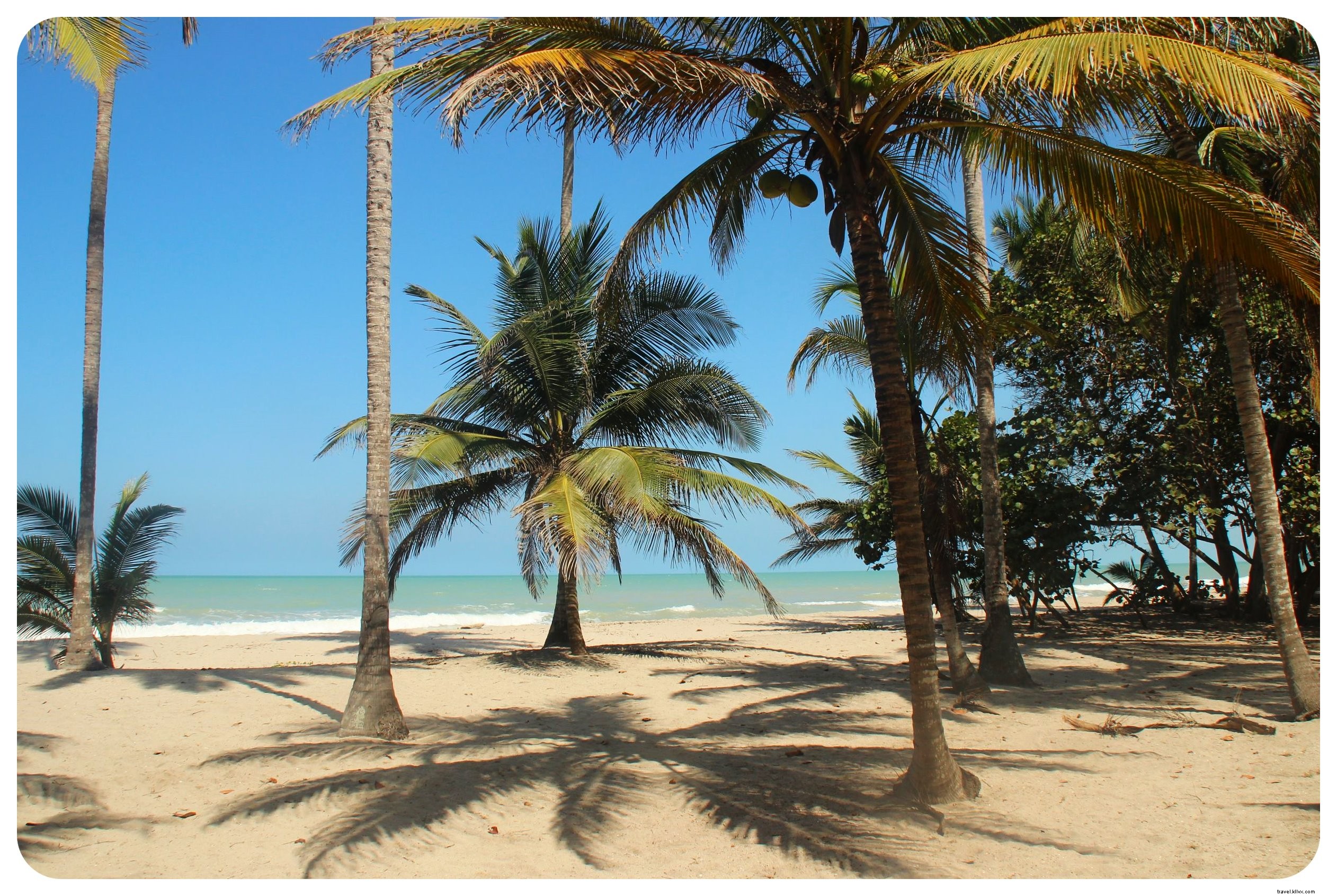 Palomino, Colombia: Pristine Caribbean Beaches, River Tubing Thrills, and a Close Call with Theft