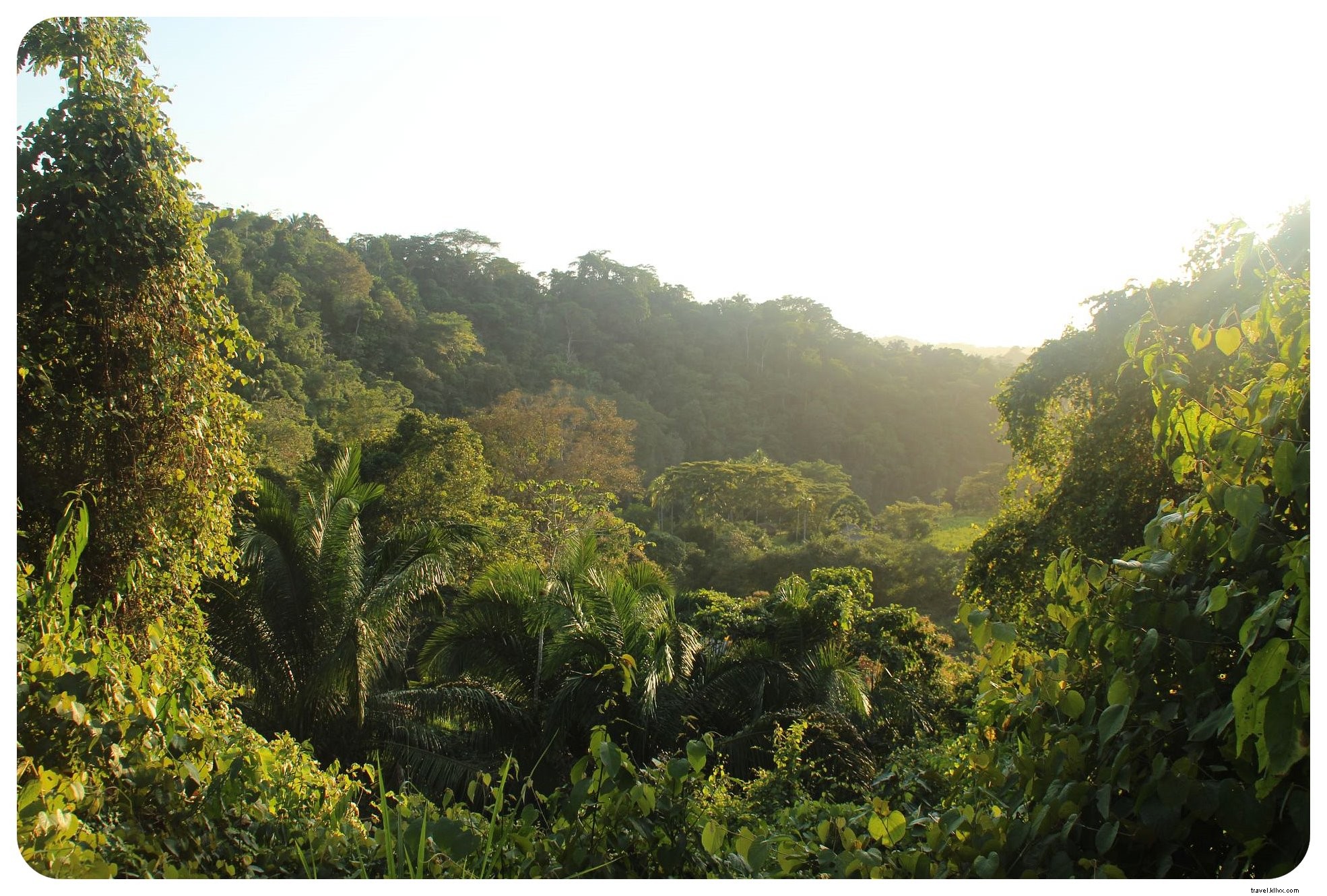 Palomino, Colombia: Pristine Caribbean Beaches, River Tubing Thrills, and a Close Call with Theft