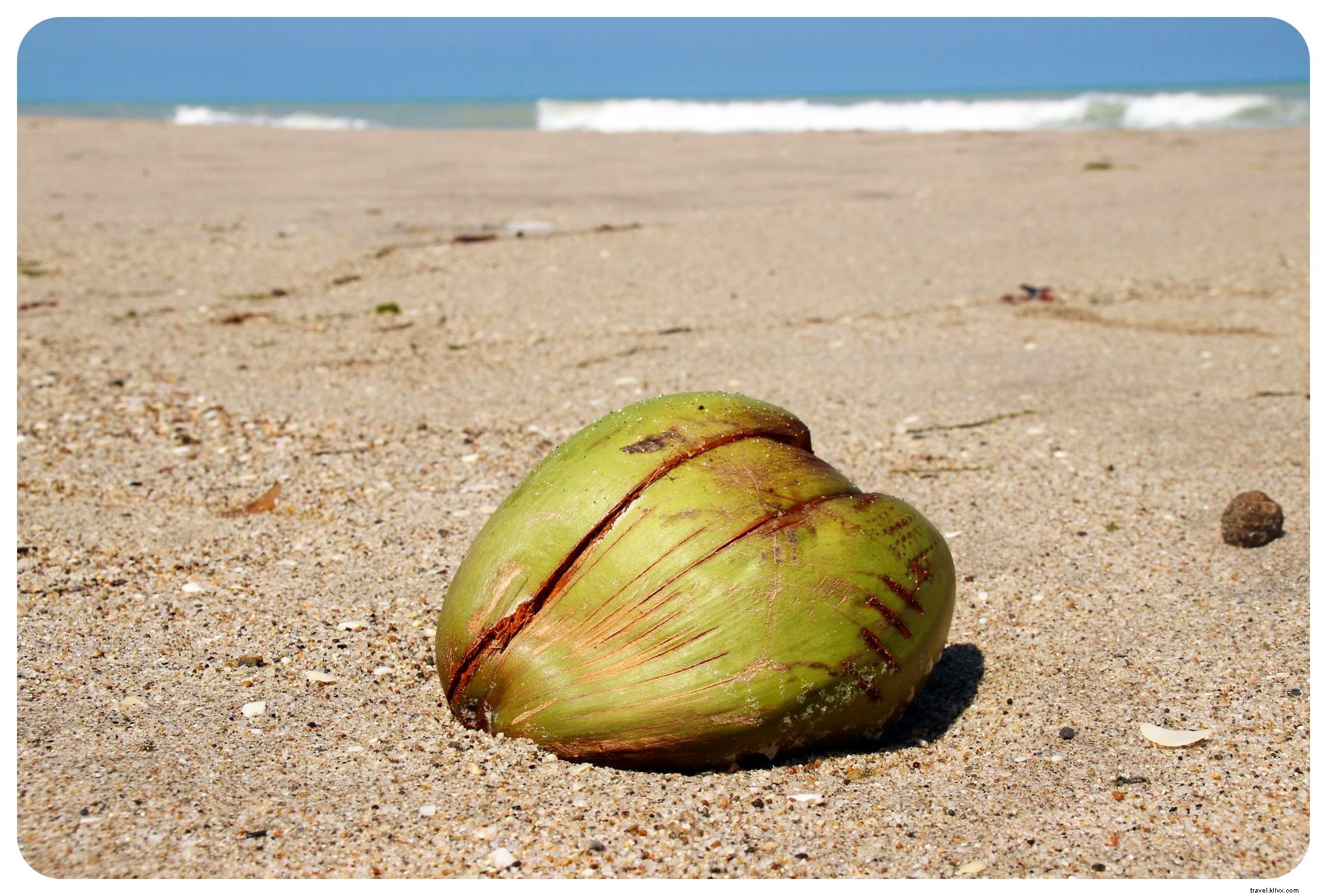 Palomino, Colombia: Pristine Caribbean Beaches, River Tubing Thrills, and a Close Call with Theft