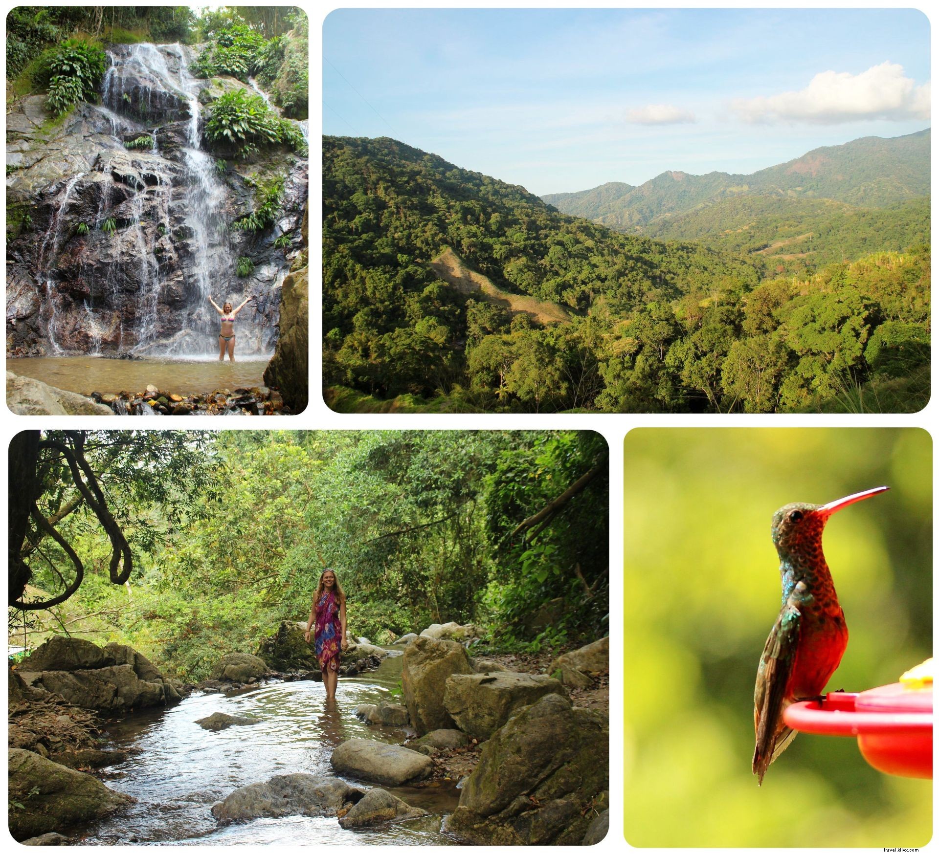 Exploring Minca, Colombia: Waterfall Hikes, Coffee Farms & Epic Mountain Views