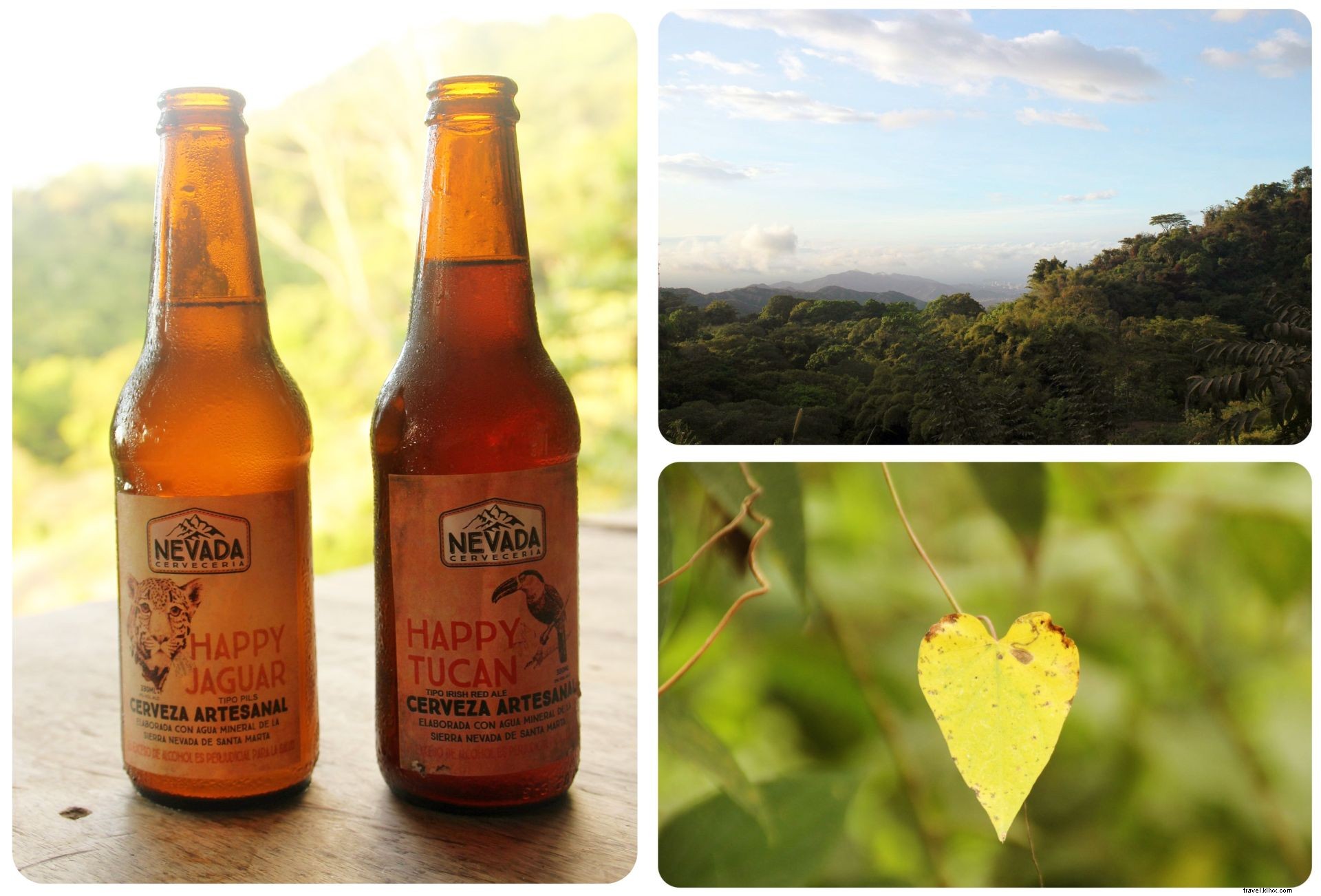 Exploring Minca, Colombia: Waterfall Hikes, Coffee Farms & Epic Mountain Views