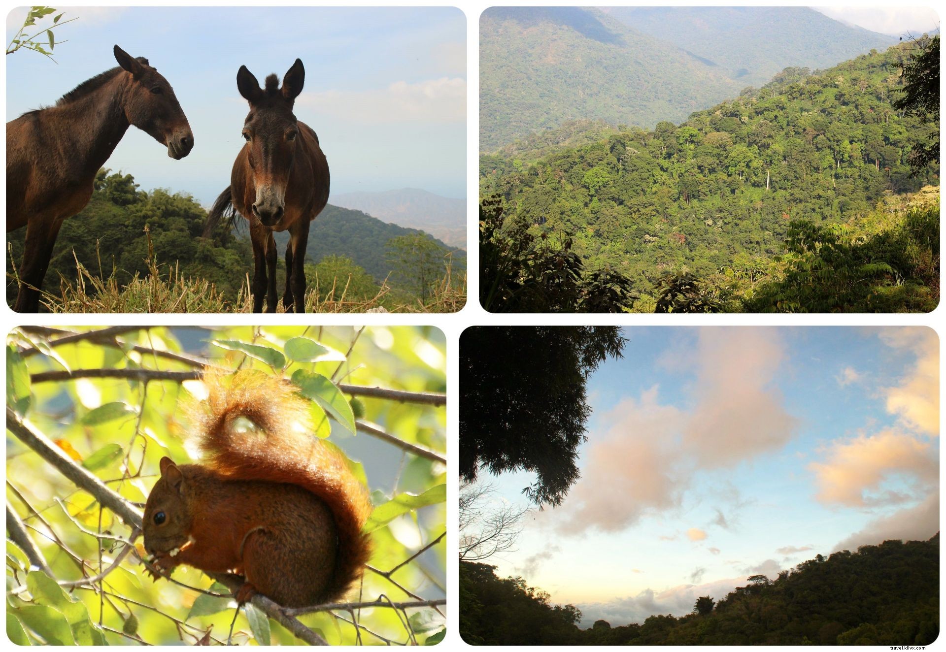 Exploring Minca, Colombia: Waterfall Hikes, Coffee Farms & Epic Mountain Views