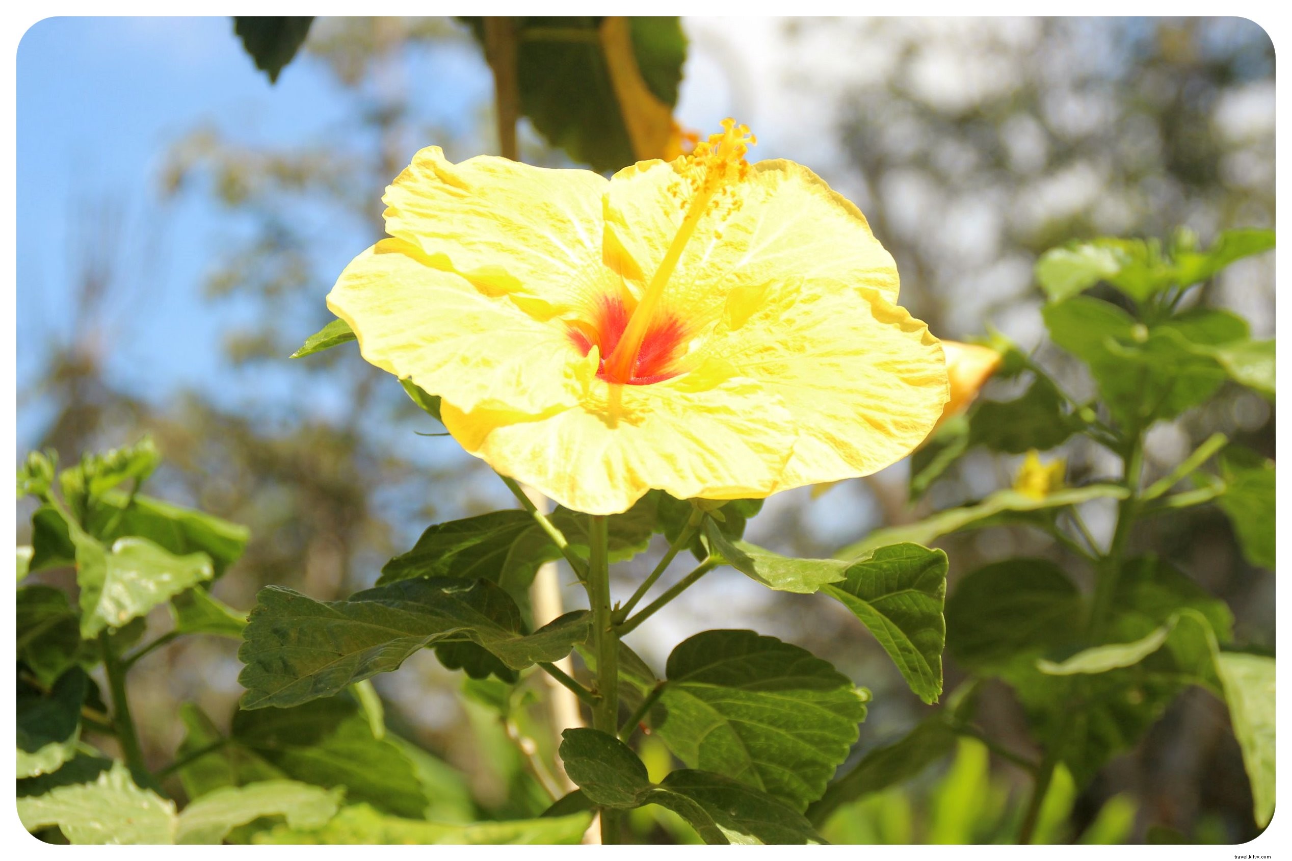 Exploring Minca, Colombia: Waterfall Hikes, Coffee Farms & Epic Mountain Views