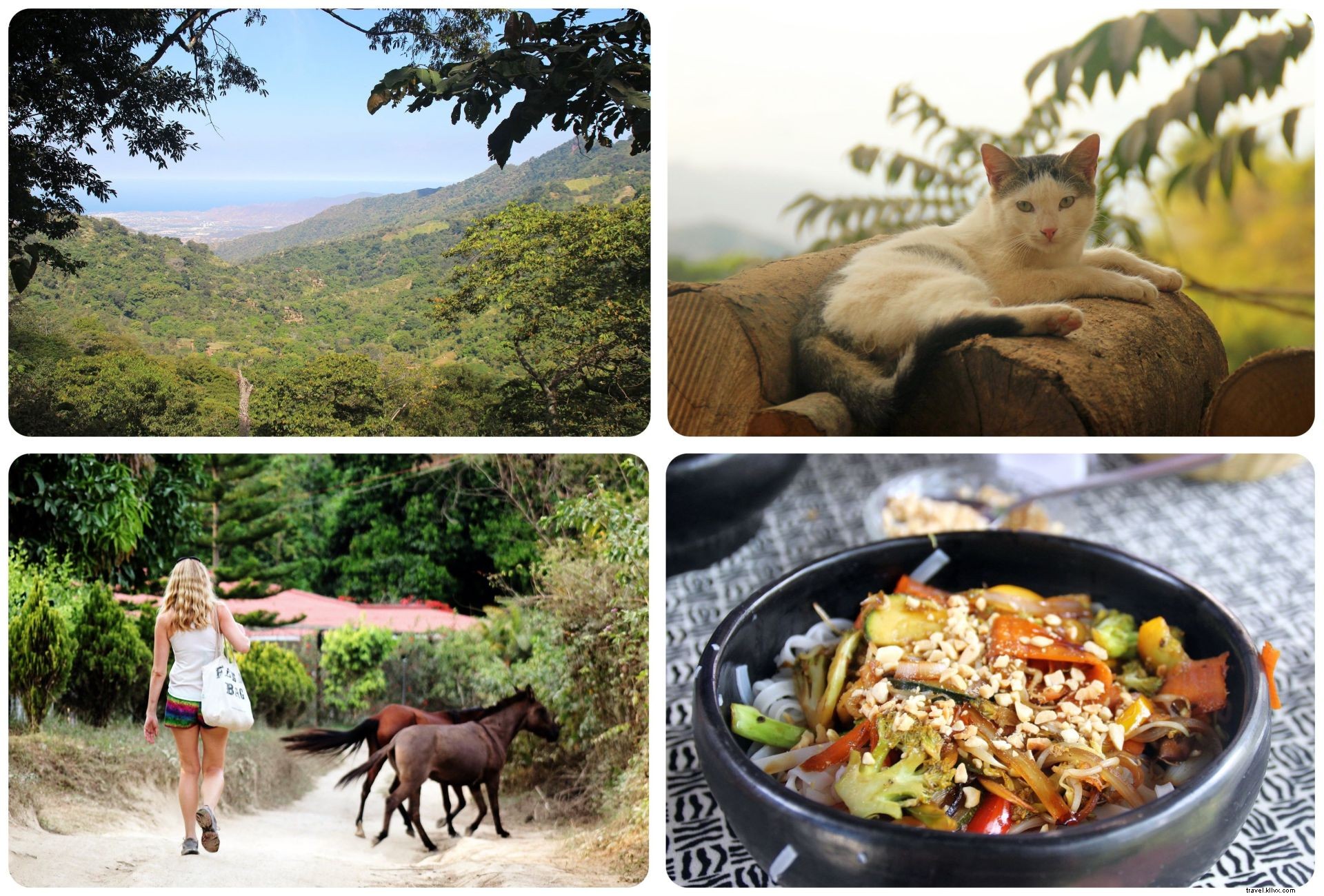 Exploring Minca, Colombia: Waterfall Hikes, Coffee Farms & Epic Mountain Views