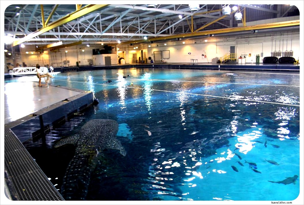 Top Atlanta Attractions: CNN Tour, World of Coca-Cola, Georgia Aquarium & More