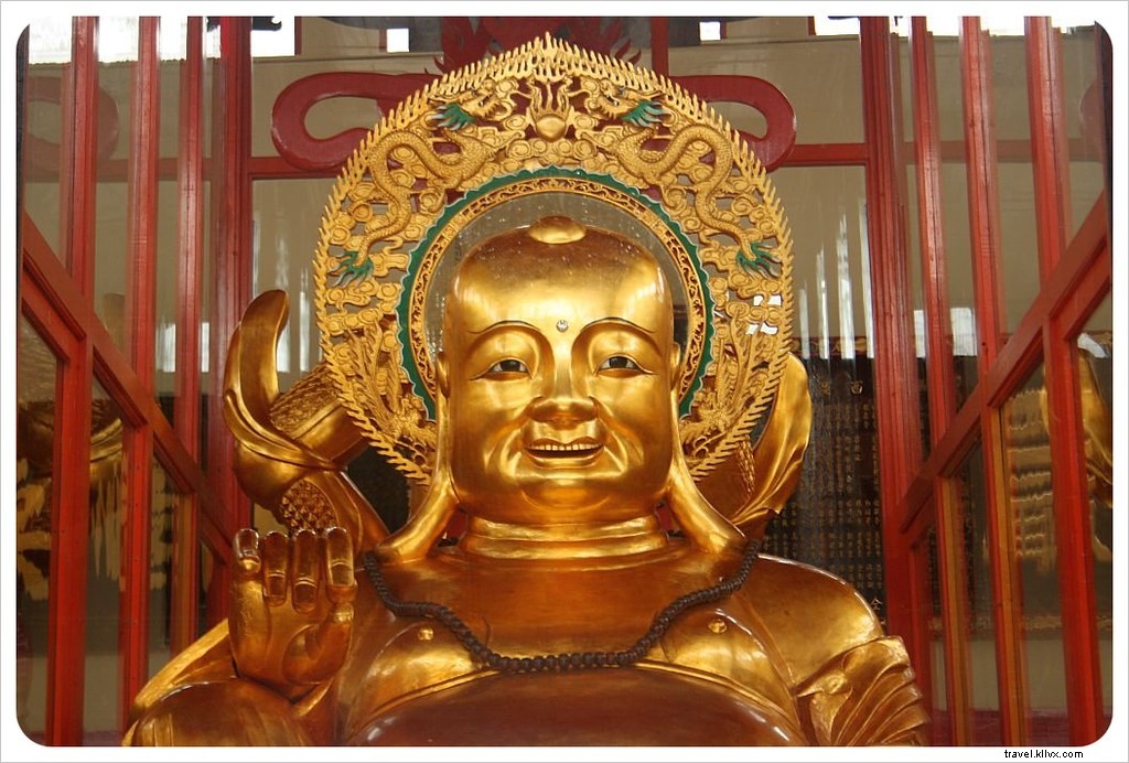 Escape the Heat: Hiking, Strawberries & High Tea in Malaysia s Cameron Highlands