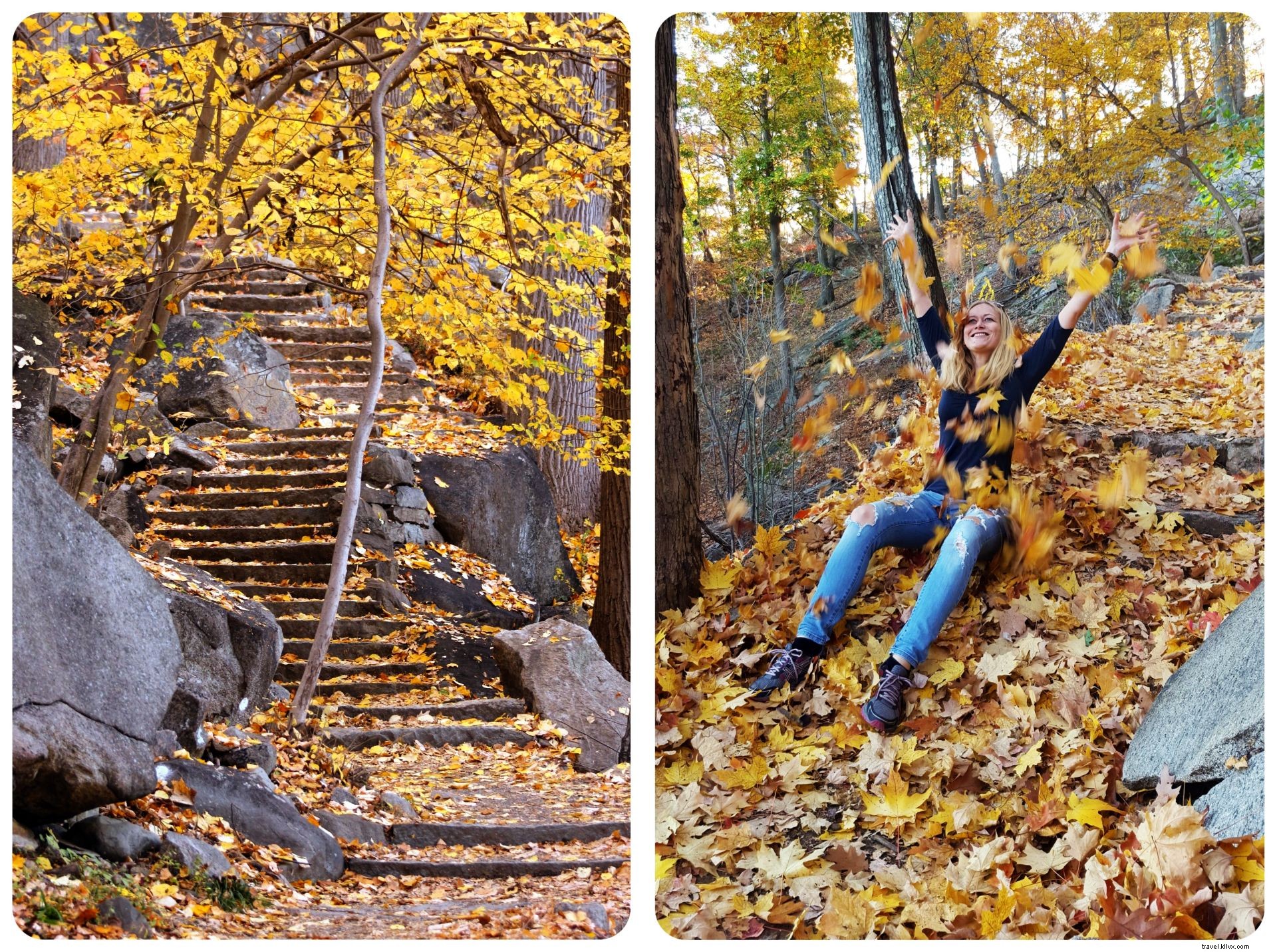 Top Fall Activities in Western New York s Enchanted Mountains: Cattaraugus County Guide